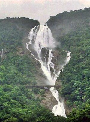 Dudhsagar Waterfall Trek View